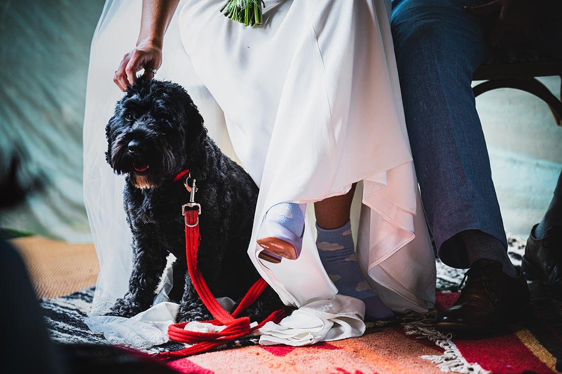 Garden wedding bride groom dog richmond